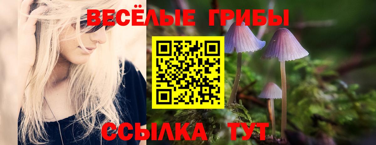 Лиски  Псилоцибиновые грибы мухоморы  где продают наркотики  Вход с VPN 
